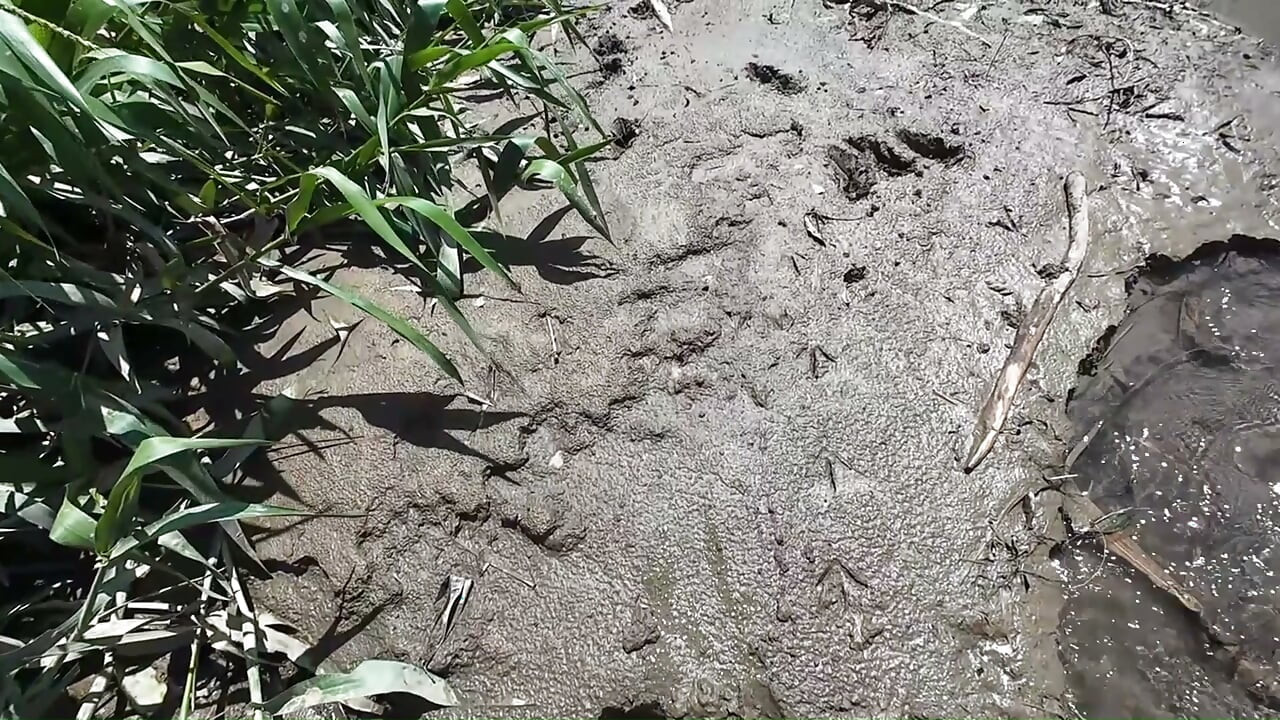 Follow Footsteps to My Big Ass Butt Someone Is Passing In a Boat Can We Show N Play Privately Kinky Nature Softcore - Jhodez1