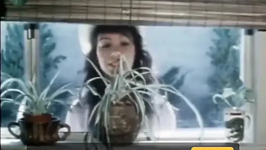 Классические порно DVD: Наездница выходного дня: часть 2