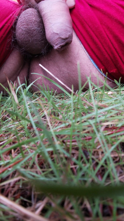 Key moment from "Ass Up, Balls Swinging - Caught Stroking in the Pines (Part 2)"