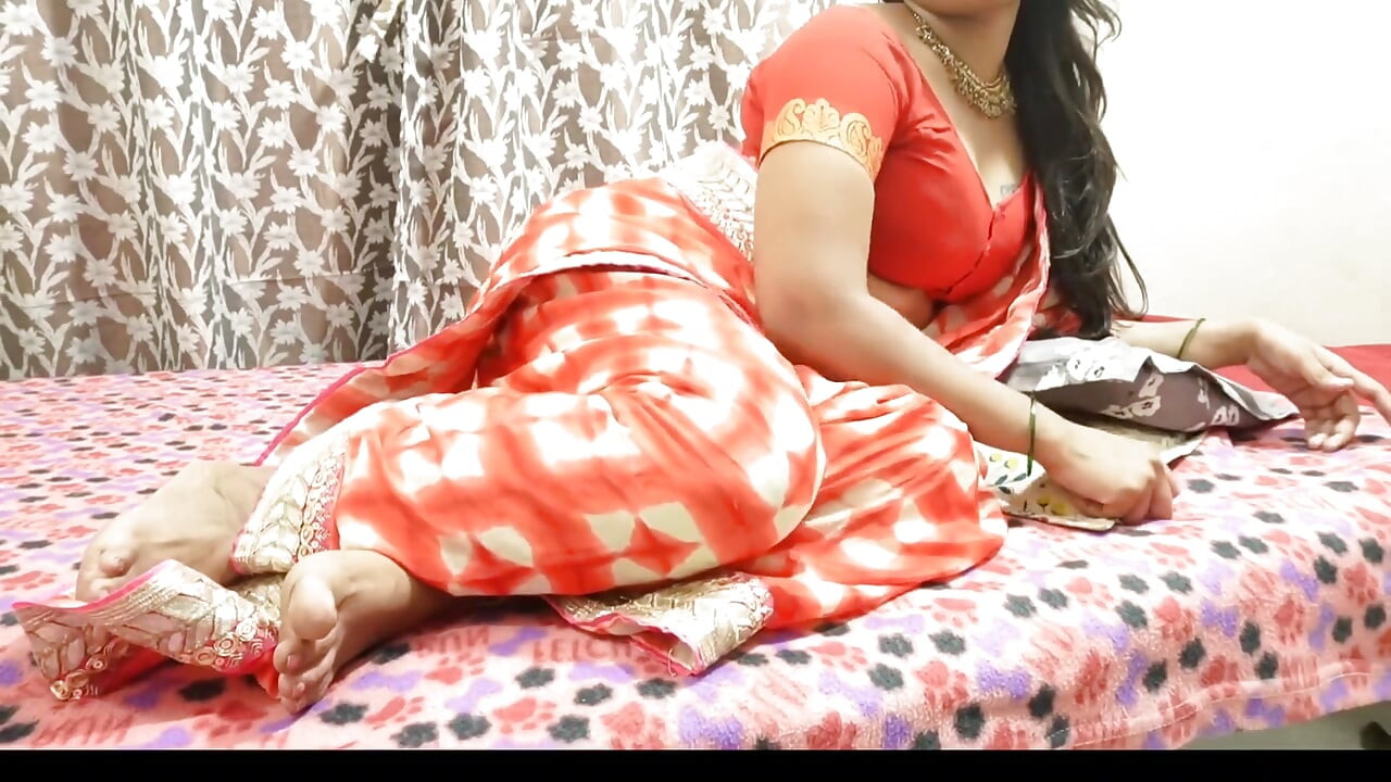 デシ・バービーはサリーを着ていて素敵に見える