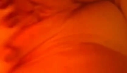 pussy