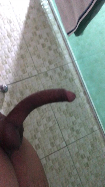 Pyroweevil