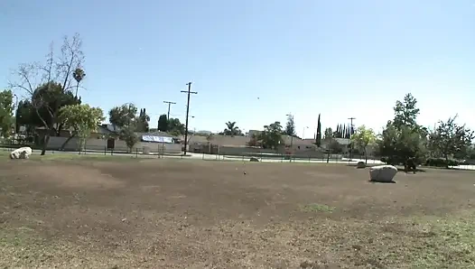 Unerwartetes abholen im park führt zu einer intensiven ficksession mit einer vollbusigen brünette