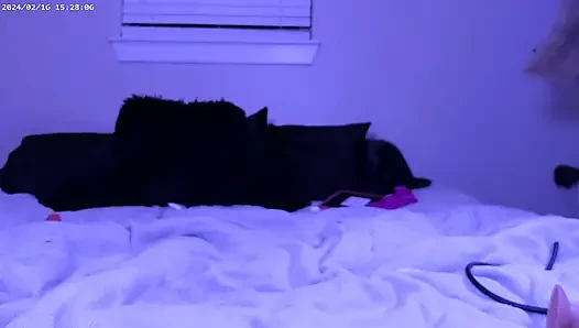 Permainan anal tengah malam