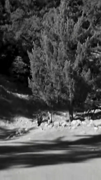 Den nakna venusen - 1958