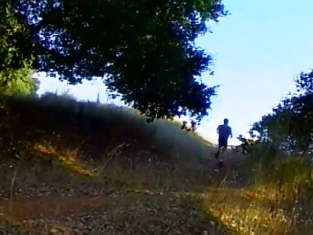Backwoods 1