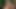 Sativa Rose And Candy Manson All American Theme Orgy 4k