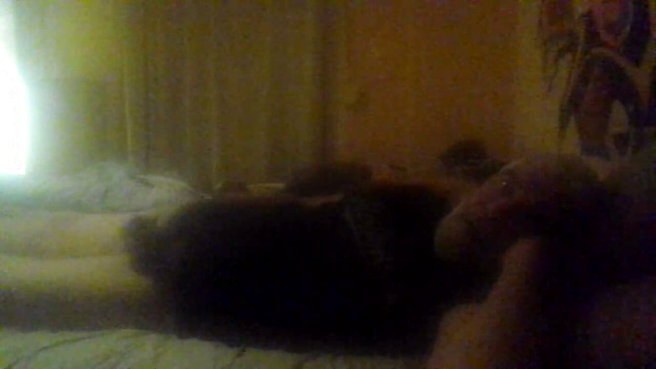 lisbi the wanker