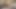 The first beautiful teenage hijab girl did accidentally crot inside