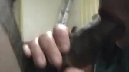 Mrdka jí tlustou děvku