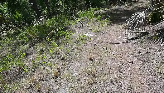 Full Day Video