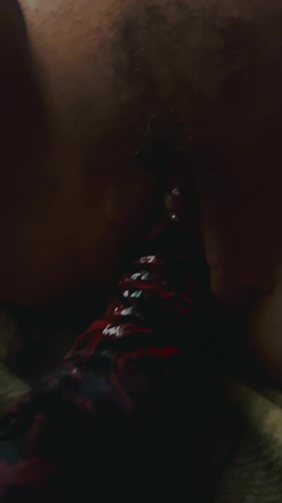 Paige gosta de paus de criatura