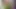Hatun, teyze ve ateşli kız arkadaşla porno derlemesi