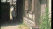 Pratinjau video