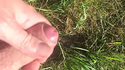 Outdoor abgesahnt