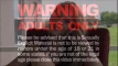 Video preview