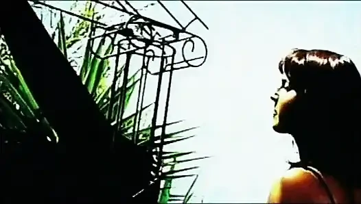 In search of the lost orgasm - DVD