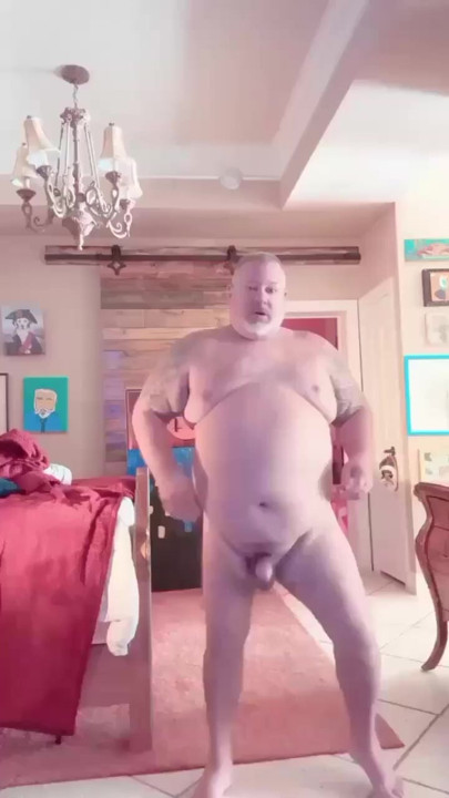Urso gordo dançando