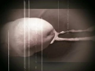 Old Cock Cum