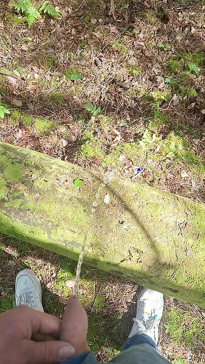 Boy peeing in a public wood