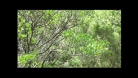 Italians Like Dark Black (original Uncutted Version)