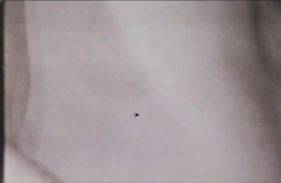 La leggenda del porno - USA 1969, l'inizio - Scena 04