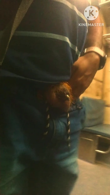 Lionman on Train(DMU)