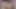 Seksi Hintli desi kız Sudipa erkek arkadaşı tarafından sikiliyor - sert sert seks ve göğüslerine boşalma Hintli seks Hintli kız