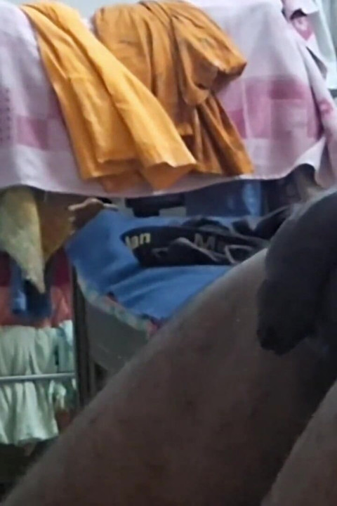 Busty Banuu Bhabhi's Pussy Fucked by Putting Dick in Her Pussy