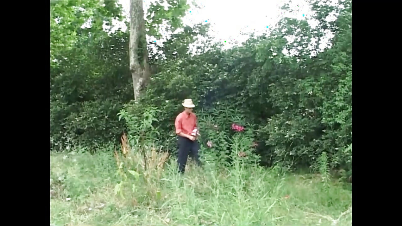 The Big Cock of a Transgender Bitch