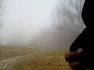 in foggy day I cum in a park 2