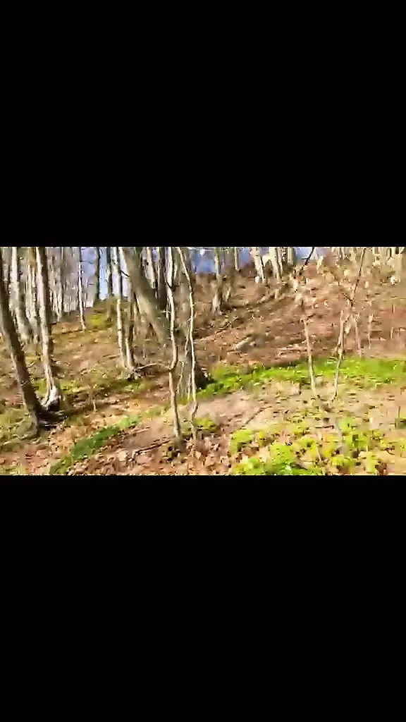 Amateur Compilation masturbation