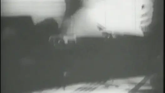 Daha Fazla Horoz Arzusu