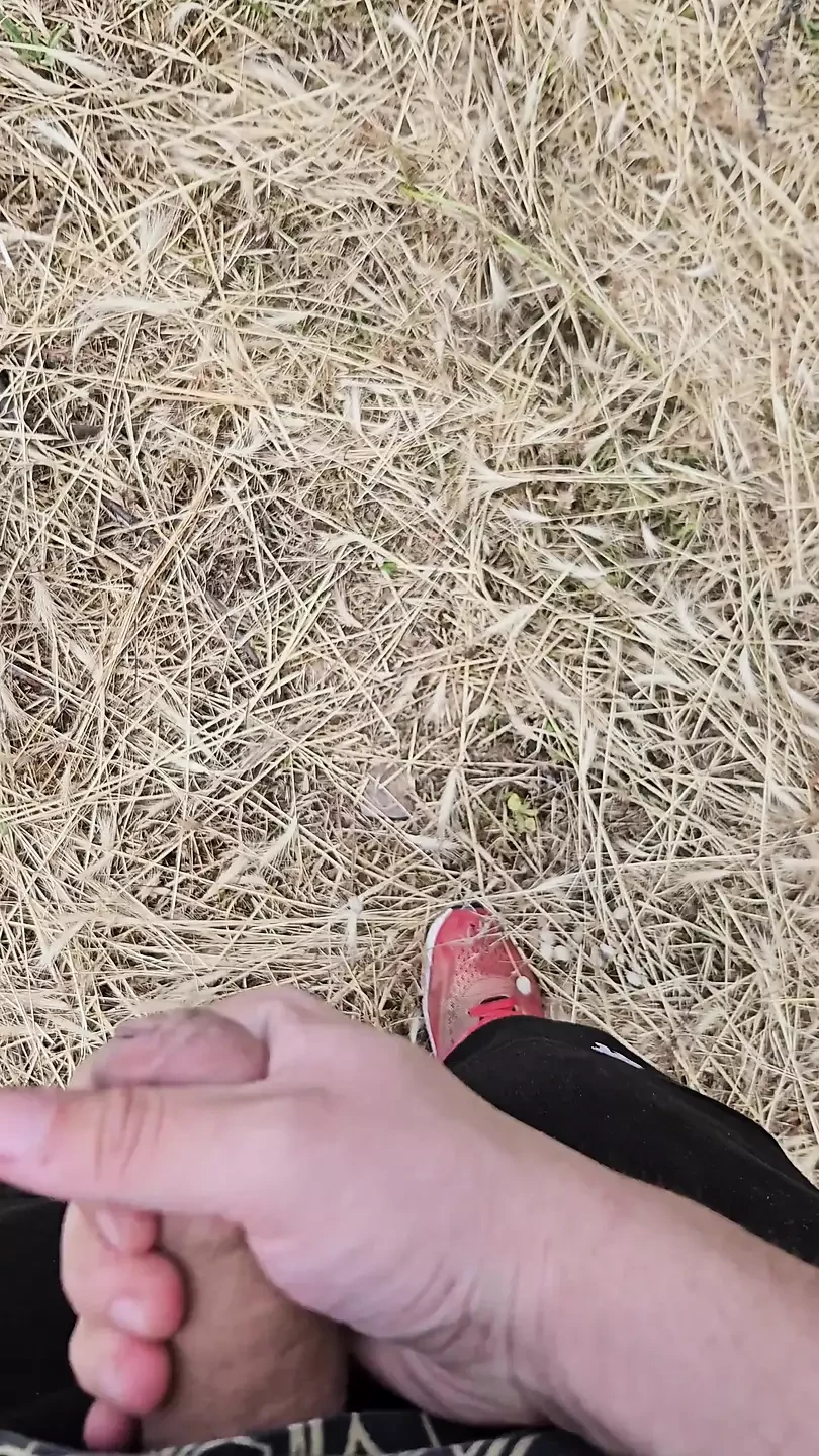Svrši u polja