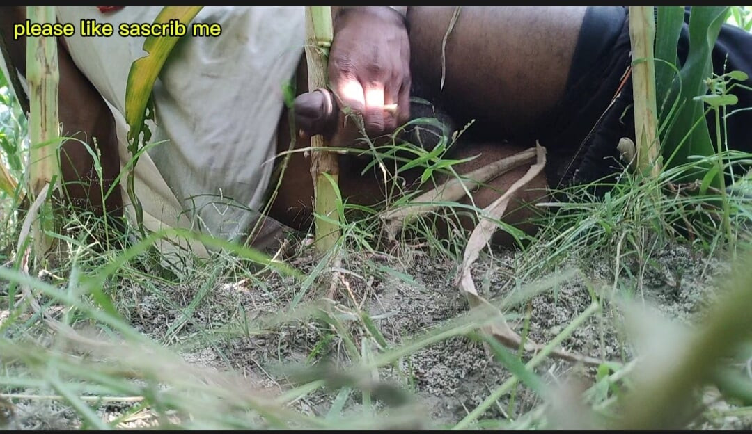 The village boy went to the cornfield and hit him hard