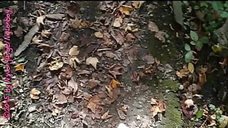 Petite promenade dans la forêt en nylon