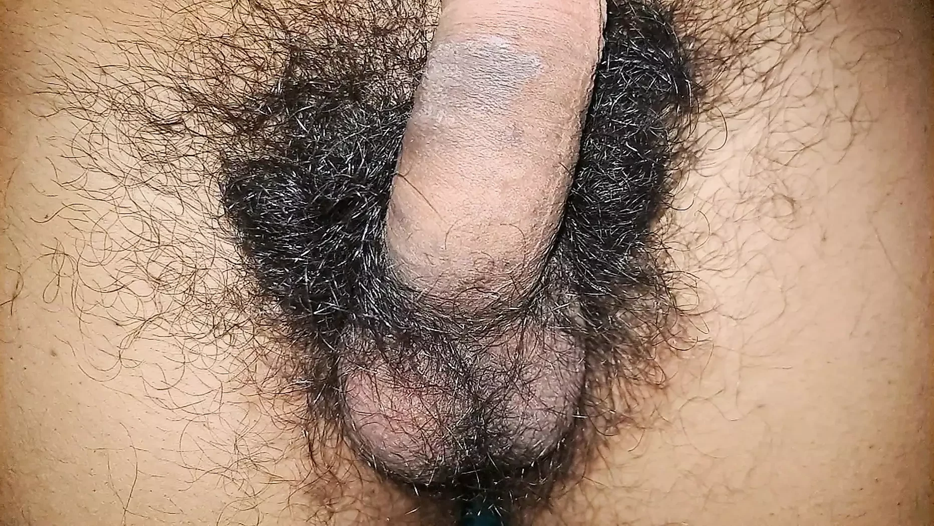 My Hard Dick Best Compilation Videos.