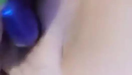karısının kedi