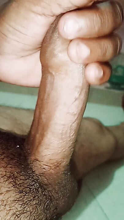 Indian desi land