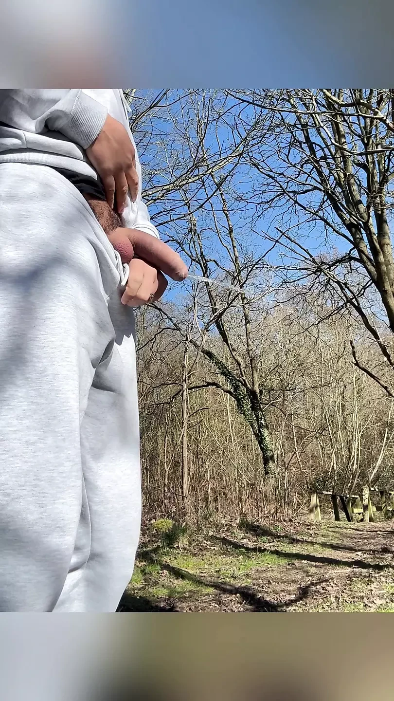 Jovem garoto procurando pau na floresta