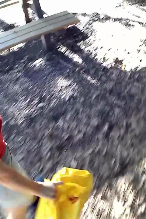 Šetnja parkom