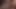 Dvě nadržené lesbičky hodně stříkají na Streamu