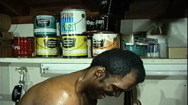 White Trash Black Splash
