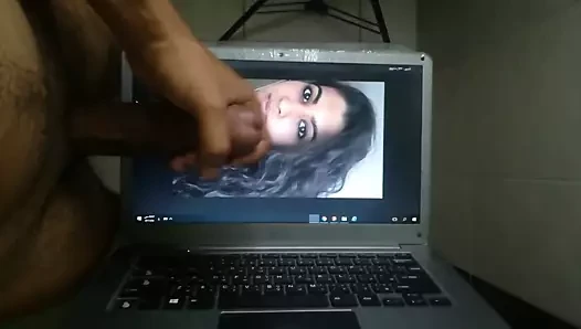 Zypakislut -3