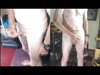 Pratonton Video