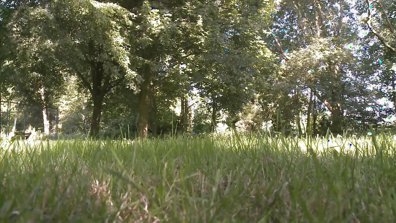 A walk with the slaves