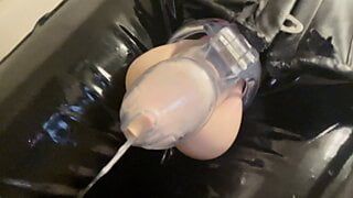 Leaking Thick Cum in Chastity