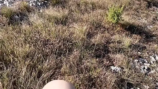 Blowjob Traveling. Vilu Vidish