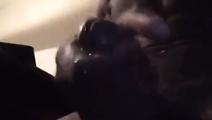 okşayarak şişman horoz!