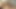 My lady is getting fucked raw in our bed while she has me recording, wife getting fucked with no condom while hubby rec